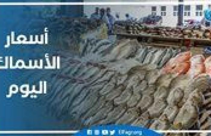 بالبلدي: أسعار المأكولات البحرية والجمبري اليوم الجمعة 1-11-2024 في محافظة الدقهلية