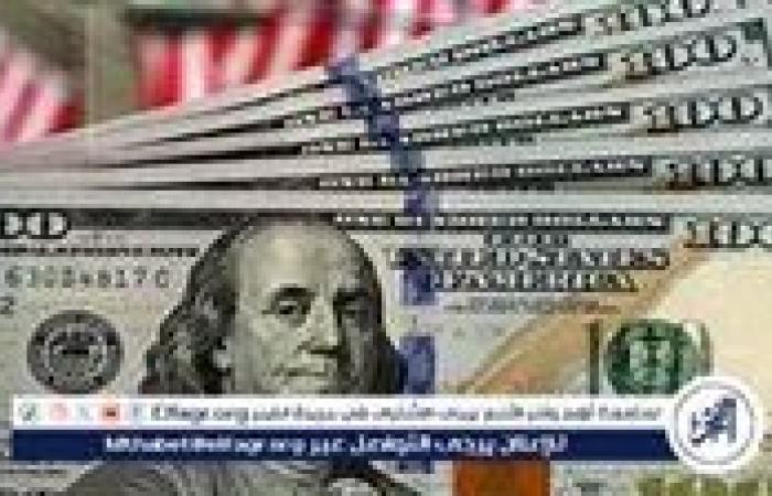 استقرار سعر الدولار مقابل الجنيه المصري اليوم السبت 2 نوفمبر 2024 في العطلة الأسبوعية للبنوك