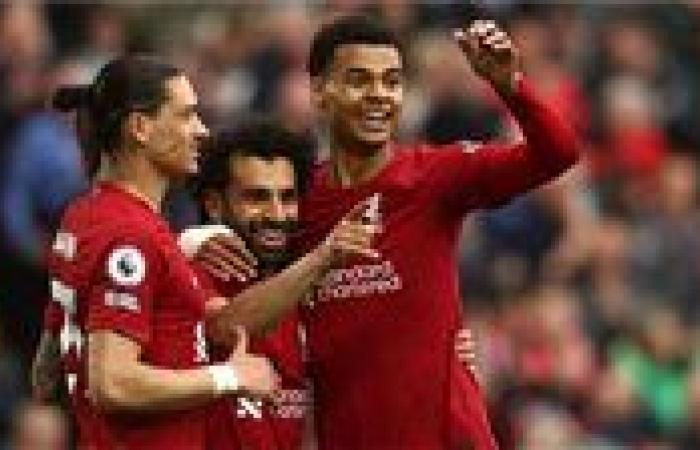 مواعيد مباريات اليوم.. ليفربول يواجه برايتون والأهلى أمام سيراميكا