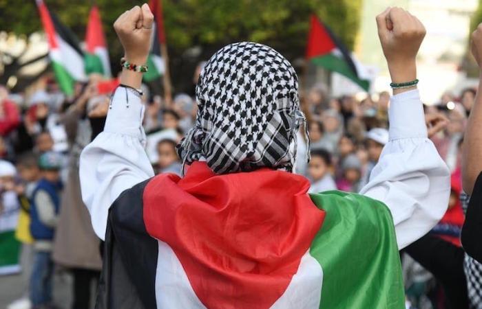 منظمة العمل تمنح فلسطين العضوية