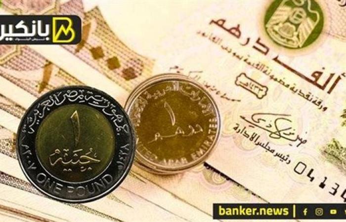 سعر الدرهم الإماراتي أمام الجنيه المصري في تعاملات اليوم الثلاثاء 5-11-2024