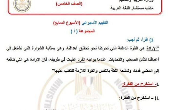 مراجعات نهائية.. أسئلة تقييم الاسبوع السابع في اللغة العربية الصف الخامس الابتدائي