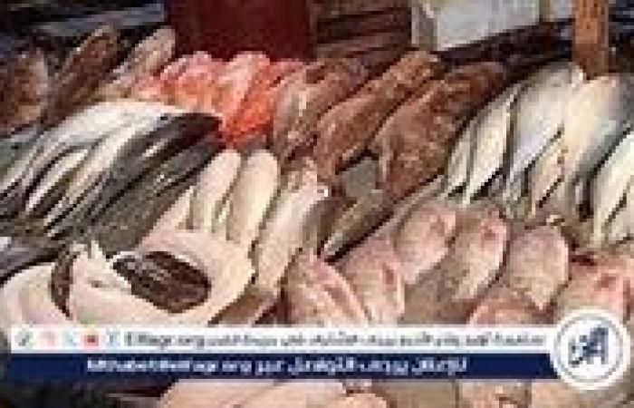 بالبلدي: اسعار السمك اليوم الخميس 7-11-2024 في الدقهلية