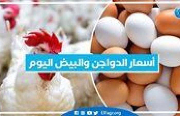 أسعار الدواجن اليوم الجمعة 8-11-2024 في الدقهلية