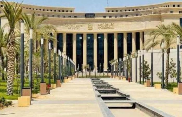 البنك المركزي : 66% ارتفاعاً في تحويلات المصريين العاملين بالخارج خلال شهر أغسطس 2024