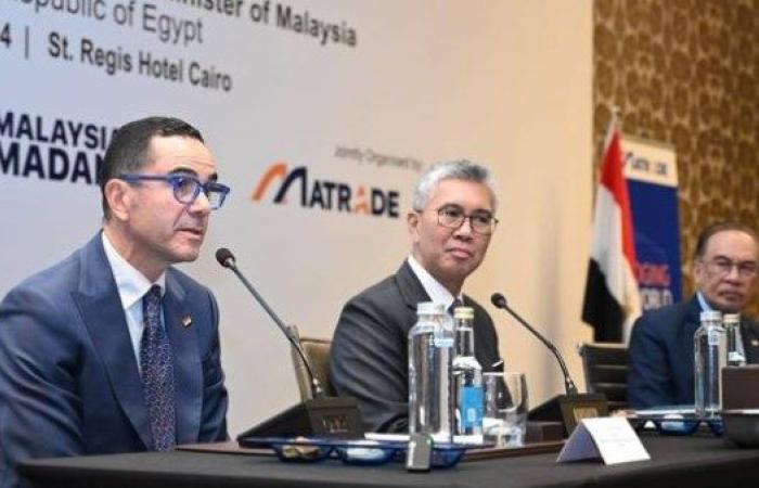 مصر وماليزيا تستعرضان فرص التعاون في التحول الرقمي والطاقة