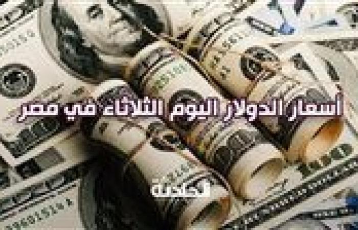 سعر الدولار اليوم الثلاثاء 12 نوفمبر في مصر أمام الجنيه.. 49.14 جنيه للشراء