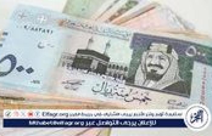 استقرار سعر الريال السعودي مقابل الجنيه المصري اليوم الثلاثاء 12 نوفمبر 2024