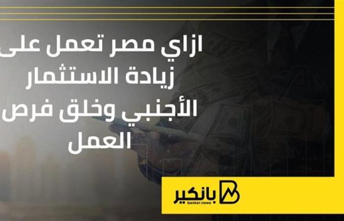 ازاي مصر تعمل على زيادة الاستثمار الأجنبي وخلق فرص العمل ؟