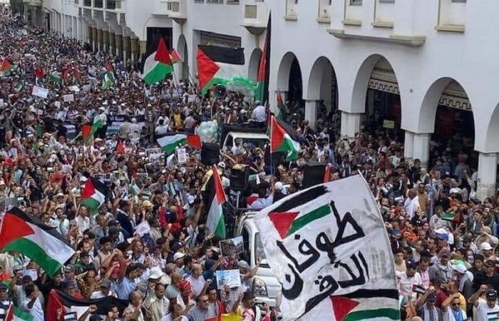 مسؤول بمنظمة التحرير يشيد بدعم المغرب لفلسطين ويستنكر حملة التحريض