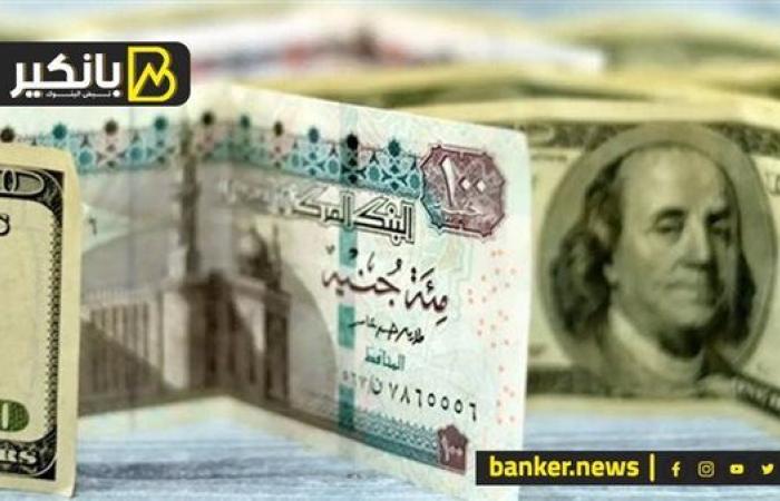 سعر الدولار أمام الجنيه المصري في نهاية تعاملات اليوم الخميس 14-11-2024