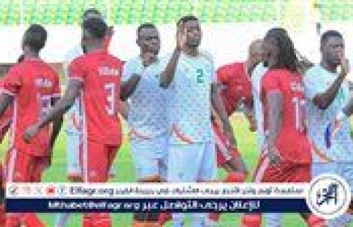 منتخب النيجر يقسو على السودان برباعية في تصفيات كأس الأمم الأفريقية