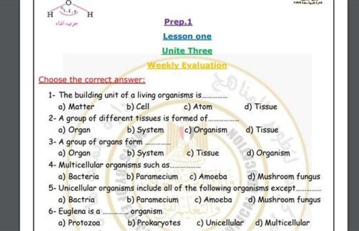 مراجعات نهائية.. أسئلة تقييم الأسبوع العاشر العلوم Science لـ الصف الأول الإعدادي