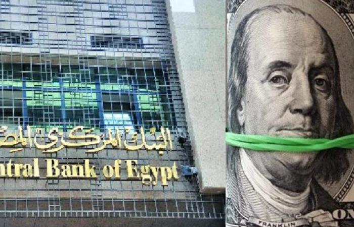 بسبب قرار البنك المركزي اليوم.. سعر الدولار يتحرك في بعض البنوك