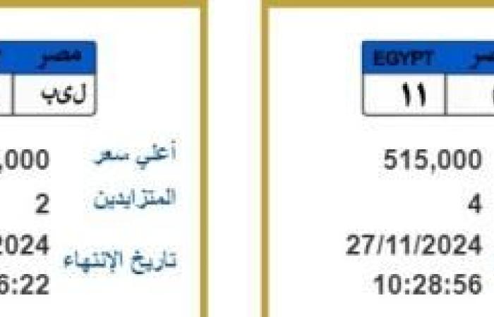 مود ونور وسيف لوحة عربيتك باسمك .. والأسعار تتجاوز نصف مليون جنيه l صور