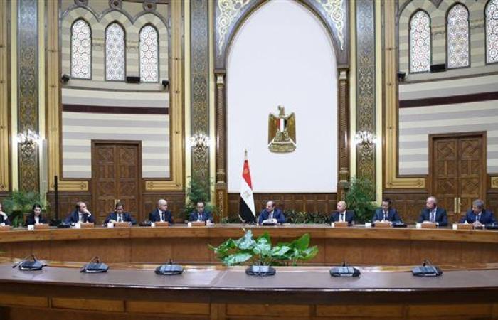 السيسي: مهتمون بتفعيل الشراكات مع الكيانات الإقليمية والدولية بما يحقق المصلحة للدولة وللمستثمرين