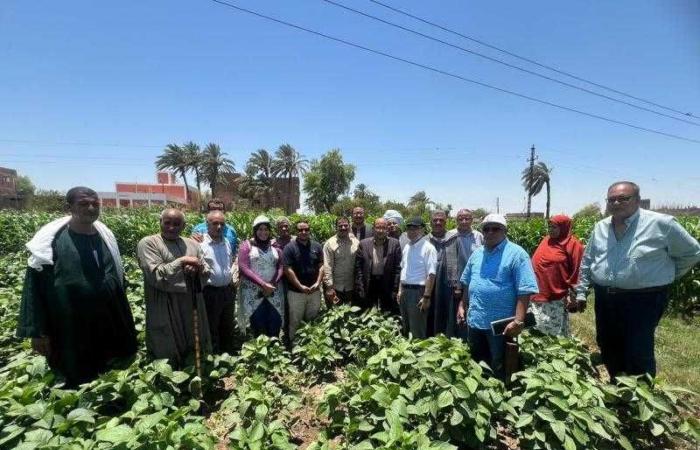 الزراعة: تنفيذ المرحلة الثانية لمشروع  تحسين ...