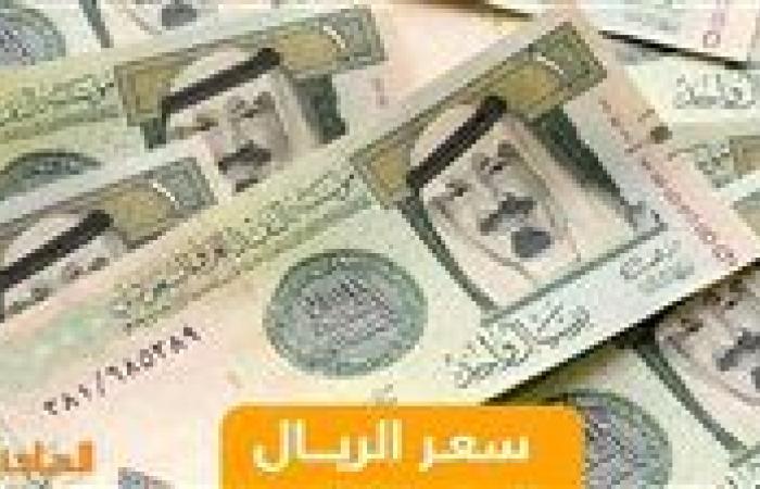 بـ 13.23 جنيه.. سعر الريال السعودي بالبنوك اليوم الخميس 28-11-2024