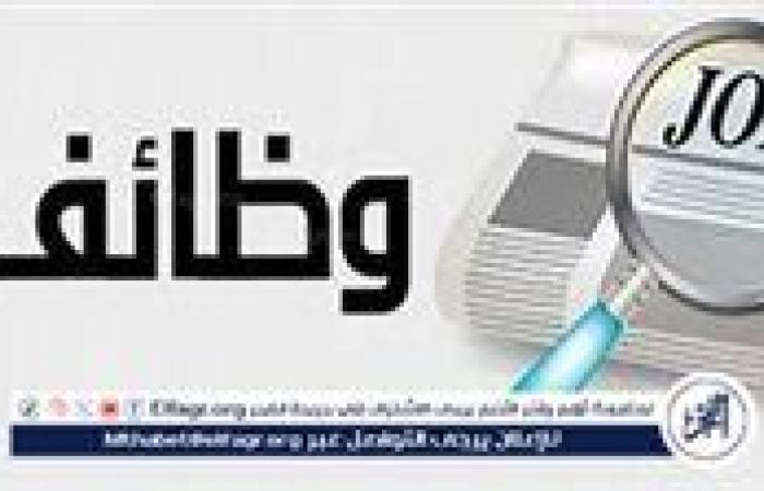 الإعلان عن 920 فرصة عمل في 16 شركة ومصنع بمرتبات مجزية بالقليوبية 