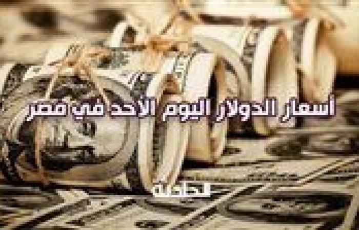 في بداية التعاملات .. سعر الدولار اليوم الأحد بالبنوك العاملة في مصر