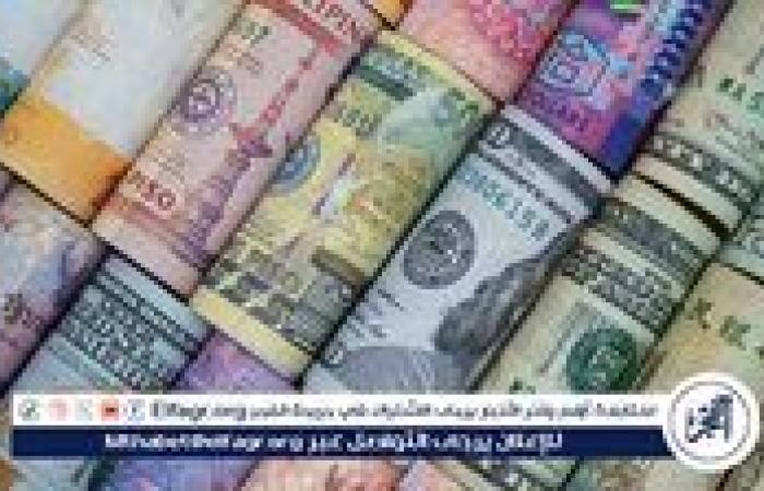 ارتفاع ملحوظ في أسعار العملات الأجنبية مقابل الجنيه المصري اليوم