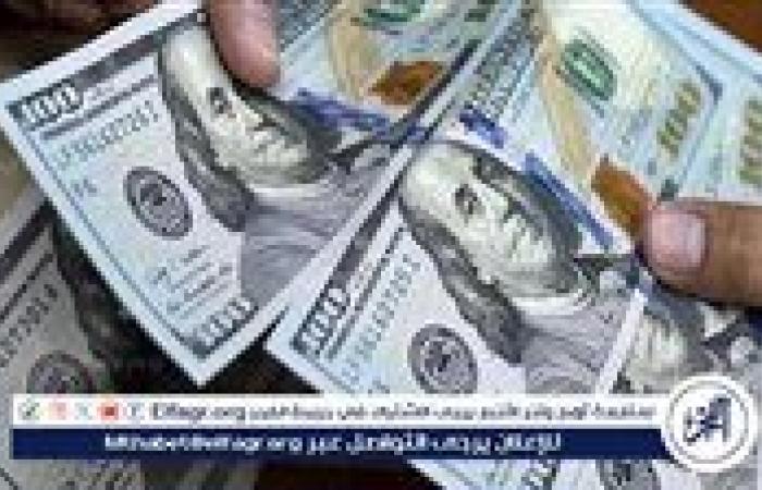 استقرار سعر الدولار مقابل الجنيه المصري اليوم 12 ديسمبر 2024