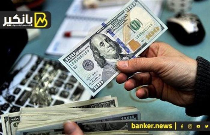 مفاجأة سعر الجنيه في 2025.. بنك عالمي: ارتفاع الدولار مؤقت