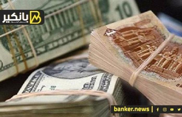 سعر الدولار أمام الجنيه المصري في تعاملات اليوم السبت 14-12-2024