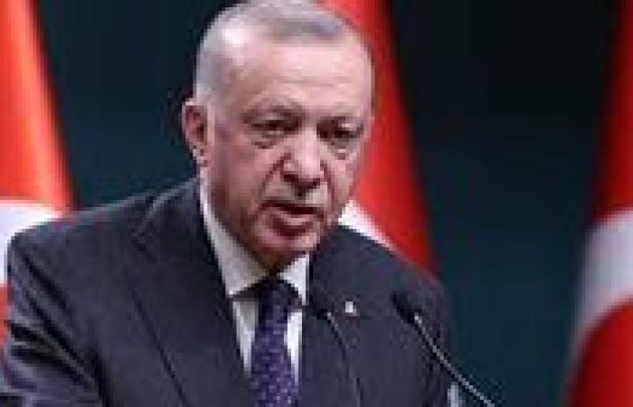 ‏أردوغان في اتصال مع ماكرون يؤكد على أهمية الحفاظ على وحدة أراضي سوريا واستقلالها