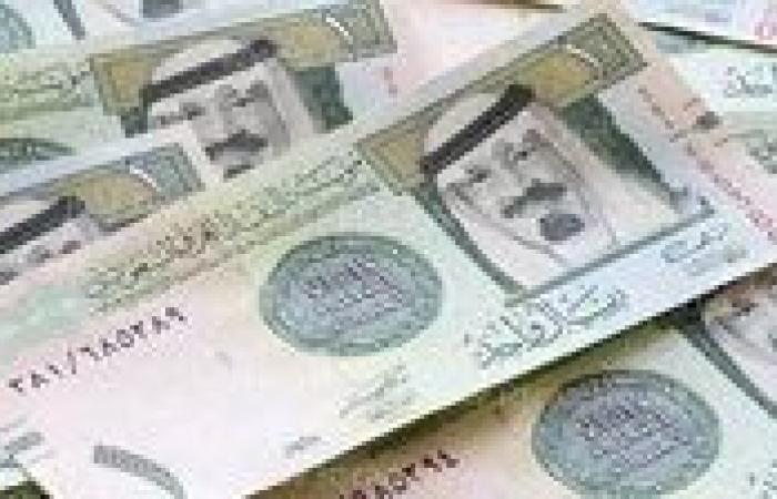 سعر الريال السعودي مقابل الجنيه المصري اليوم الأربعاء 18 ديسمبر 2024