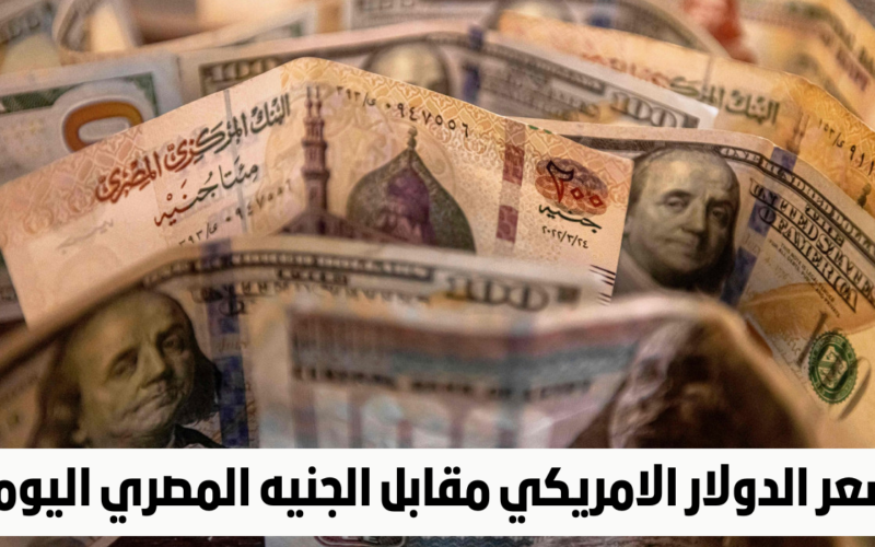 الأخضر زعلان ليه .. سعر صرف الدولار في السوق السوداء بشكل مستمر اليوم 29 إبريل 2024 والبنوك المصرية