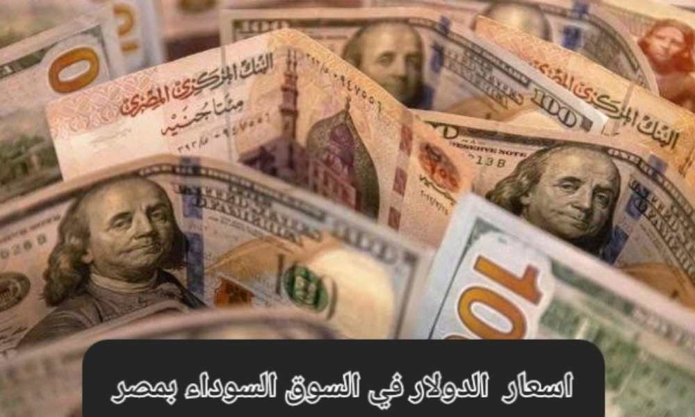 ‘‘ الأخضر مقهور من المصري ‘‘ سعر الدولار في السوق السوداء اليوم الأحد 29 إبريل 2024 والبنوك المصرية