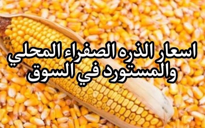 العويجة والرفيعة .. سعر الذرة اليوم الأحد 28/4/2024 في جميع الأسواق للمستهلك