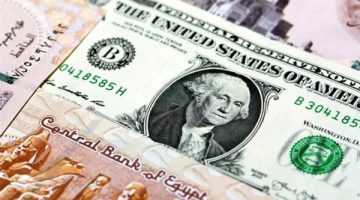 سعر الدولار الامريكي امام الجنيه المصري في البنوك في مصر اليوم الاربعاء 5 يونيو 2024