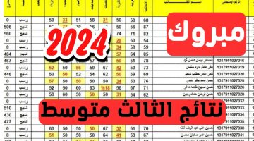 استخراج الآن .. نتائج الثالث متوسط 2024 دور اول عبر موقع نتائجنا results.mlazemna.com وموقع وزراة التربية والتعليم العراقيه