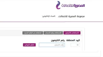 طريفة سهلة .. خطوات الاستعلام عن فاتورة التليفون الأرضي وطرق سداد الفاتورة