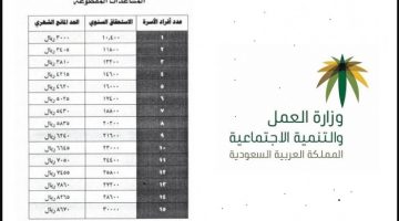 موعد صرف الضمان الاجتماعي المطور لشهر أغسطس 2024 (الدورة 32)