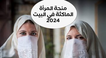 سجلى الآن.. رابط التسجيل في منحة المرأة الماكثة الجزائر 2024 واهم الشروط المطلوبة للحصول علي المنحة