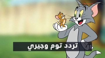 ثبت الآن.. تردد قناة توم وجيري 2024 Tom And Jerry الجديد على نايل سات بجودة عالية HD