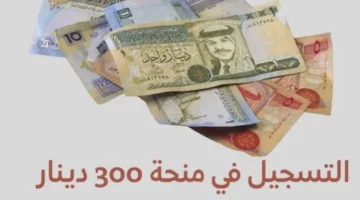 سارع الآن .. التسجيل في منحة 300 دينار تونس والأوراق المطلوبة 2024 عبر وزارة الشؤون الاجتماعية في تونس