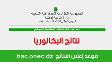 “رسمياً”.. رابط نتائج البكالوريا 2024 عبر موقع الديوان الوطني bac.onec.dz