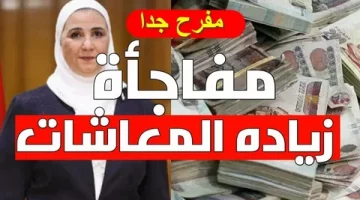 الكشف عن موعد زيادة المعاشات بعد إدراجها في برنامج الحكومة بقيمة تصل إلي 15%.. اعرف التفاصيل