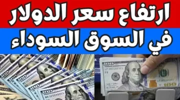 صدمة المصري أمام الأمريكي .. سعر الدولار اليوم الاحد 11 أغسطس 2024 أمام الجنيه المصري في البنوك والسوق السوداء