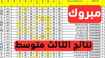 “أحصل عليها الآن” نتائج الثالث متوسط 2024 الدور الثاني عبر موقع نتائجنا results.mlazemna.com