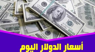 وصل كام النهارده.. سعر الدولار اليوم الخميس الموافق 29 سبتمبر 2024 في السوق السوداء وسعر صرفه في البنوك