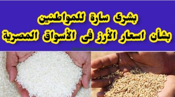 الطن رفع النهارده.. سعر طن الأرز الشعير اليوم الجمعة 20 سبتمبر 2024 في الأسواق التجارية للمستهلك