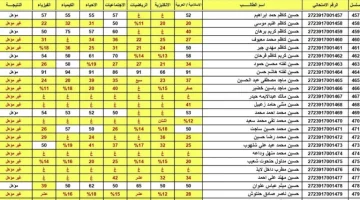 استعلم الآن.. رابط نتائج الثالث متوسط 2024 الدور الثاني بالاسم فقط عبر موقع وزارة التربية العراقية epedu.gov.iq