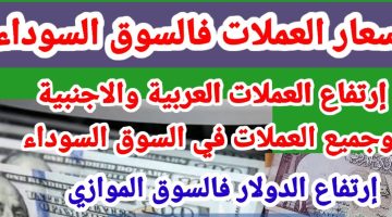 ارتفاع آخر الآسبوع.. سعر العملات في البنك والسوق السوداء لحظه بلحظه الآن الجمعة 11 أكتوبر 2024 مصر