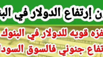 تذبذب صباحي ..سعر الدولار في مصر اليوم الثلاثاء 15 اكتوبر 2024م مقابل الجنيه المصري في السوق السوداء والبنوك