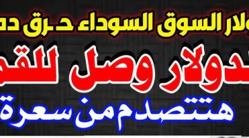 الأخضر وصل للقمة.. سعر الدولار اليوم في السوق السوداء الجمعة 11-10-2024 صدمة البنوك المصرية